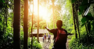 A Guide to Ecotourism in Indonesia: How to Travel Responsibly and Support Local Communities