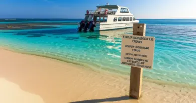 Choosing Eco-Friendly Transport: Best Reef-Safe Boats, Departure Points, and Scheduling to Minimize Disturbance
