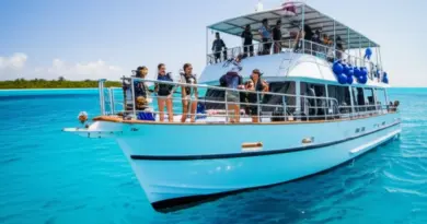 Choosing the Right Liveaboard or Day Trip for Beginners: Comfort, Dive Itineraries, Guides, and Certification Requirements