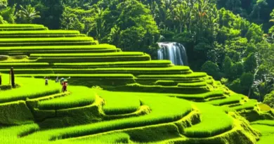 Day 3 — Central Lombok and Tetebatu: Waterfalls, Rice Terraces, and Local Culture — How to Get There and What to Expect