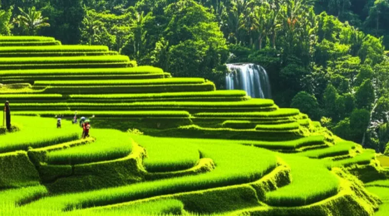 Day 3 — Central Lombok and Tetebatu: Waterfalls, Rice Terraces, and Local Culture — How to Get There and What to Expect
