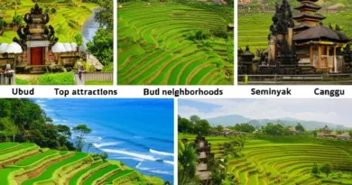 Days 1–4: Bali essentials — top attractions, recommended neighborhoods (Ubud, Seminyak, Canggu), sample day plans, transport and where to stay for first-time visitors