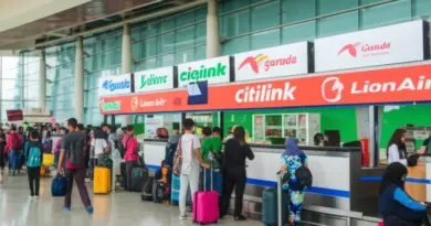 Domestic Flights in Indonesia: How to Navigate Garuda, Citilink, and Lion Air Effectively