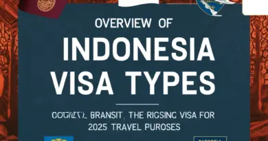 Overview of Indonesia Visa Types and Which One Fits Your 2025 Travel Purpose (tourist, business, transit, social-cultural, KITAS)