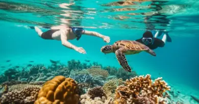 Responsible wildlife and nature experiences: ethical animal encounters, reef-safe practices, and respecting protected areas
