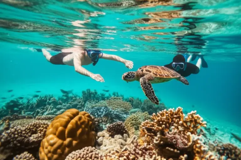 Responsible wildlife and nature experiences: ethical animal encounters, reef-safe practices, and respecting protected areas