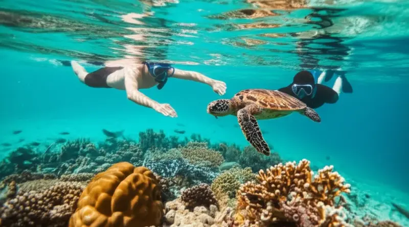 Responsible wildlife and nature experiences: ethical animal encounters, reef-safe practices, and respecting protected areas