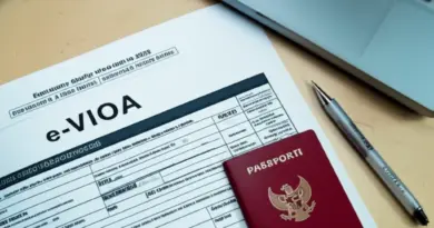 Step-by-Step e-VOA and Visa on Arrival Application Process for 2025 with Required Documents and Eligibility Criteria