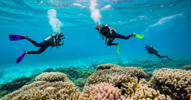 Sustainable Snorkeling and Diving Practices: Gear, Techniques, and Local Guides to Avoid Coral Damage