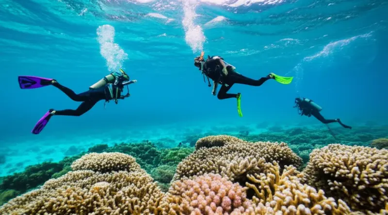 Sustainable Snorkeling and Diving Practices: Gear, Techniques, and Local Guides to Avoid Coral Damage