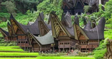 Tana Toraja must-sees and cultural tips: top attractions, traditional funeral sites, trekking routes, accommodation options, and respectful local customs