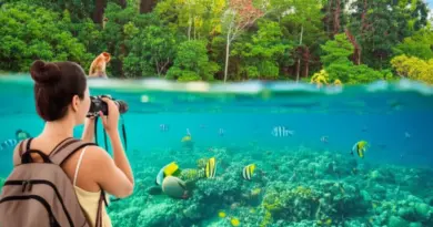 What is ecotourism and why Indonesia is a top destination for responsible travel (principles, benefits, and key regions)