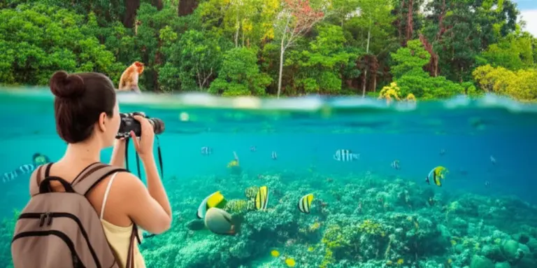 What is ecotourism and why Indonesia is a top destination for responsible travel (principles, benefits, and key regions)