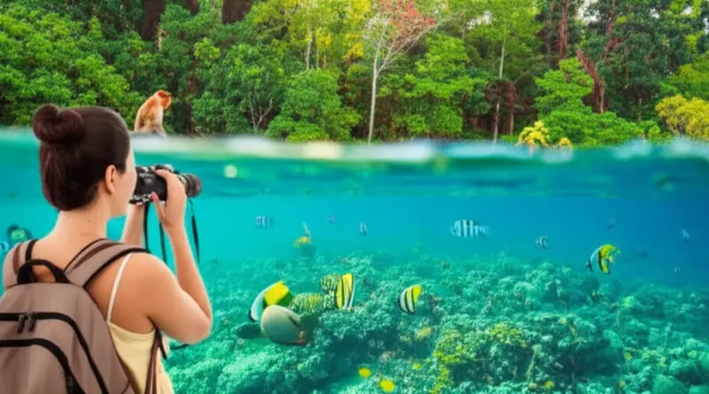What is ecotourism and why Indonesia is a top destination for responsible travel (principles, benefits, and key regions)