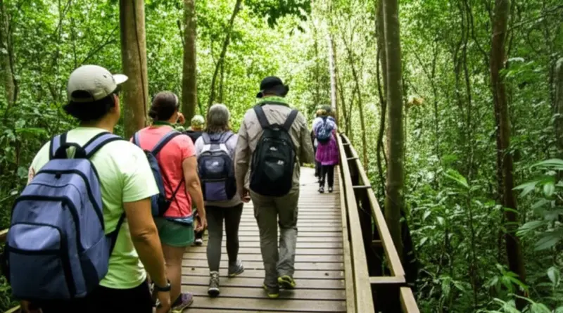What to Expect on a Responsible Orangutan Trek: Sustainable Practices, Visitor Behavior, and Minimal-Impact Itineraries