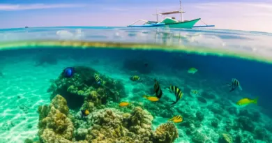 Why Low-Impact Travel Matters for the Gili Islands and How Reef-Safety Protects Coral Ecosystems