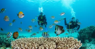 Why Raja Ampat Is Perfect for Beginner Divers: Marine Life, Visibility, and Safety Considerations