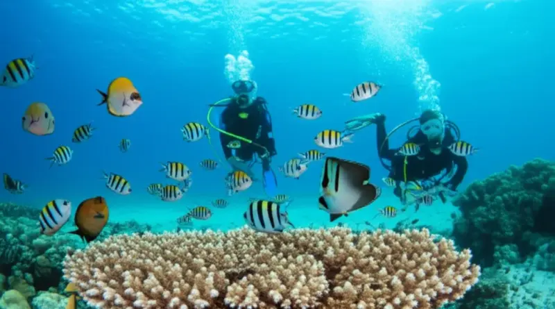 Why Raja Ampat Is Perfect for Beginner Divers: Marine Life, Visibility, and Safety Considerations
