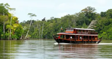 Borneo Kalimantan Wildlife Week: Ultimate Guide to Tanjung Puting Houseboat Experiences and Pangkalan Bun Adventures