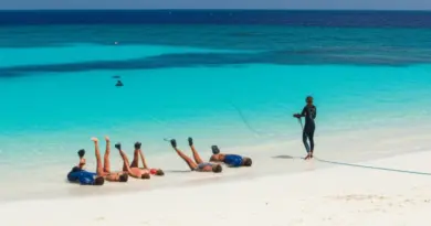Course structure and progression — what Gili freediving courses teach about equalization, depth training, and skill assessments
