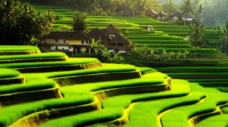 Day 1 – Arrival and Sidemen Immersion: Traditional Villages, Rice Terraces and Best Homestays for a Quiet Balinese Experience