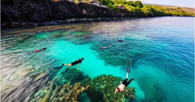 Day 3 – Amed Exploration: Snorkeling, Diving Wrecks, Sunrise Spots and Where to Stay for Marine Life Encounters
