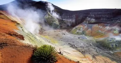 Flora, fauna, and volcanic features to watch: crater views, fumaroles, endemic species, and photography hotspots
