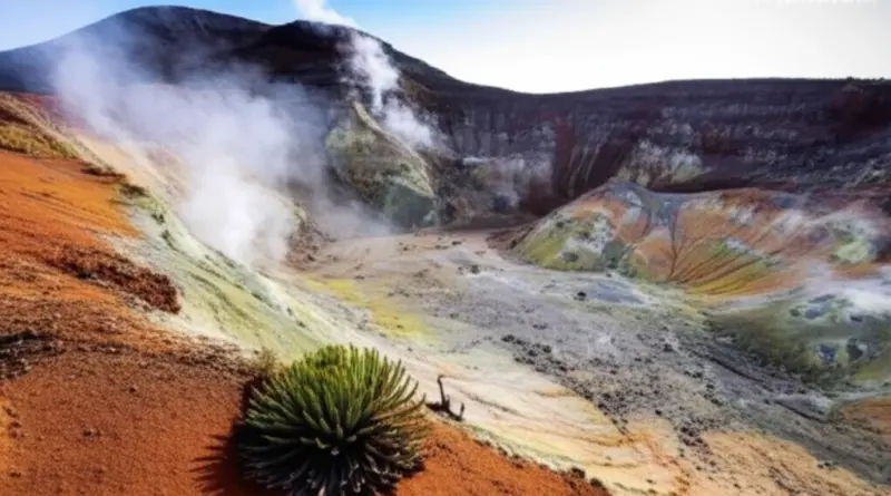 Flora, fauna, and volcanic features to watch: crater views, fumaroles, endemic species, and photography hotspots