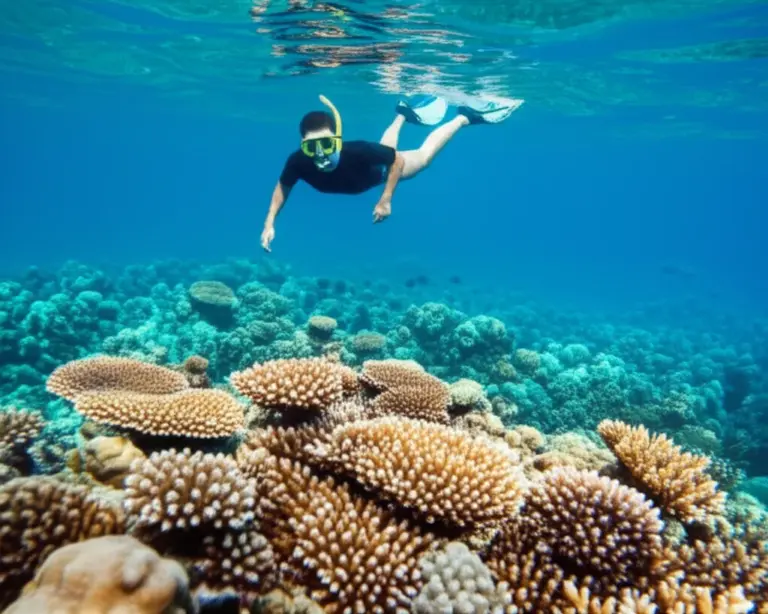 How to Snorkel Responsibly in Indonesia: Best Practices, Gear Choices, and Codes of Conduct to Prevent Reef Damage