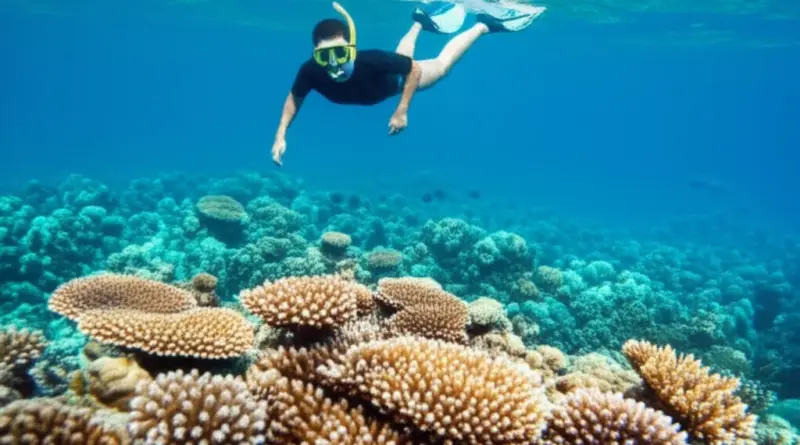 How to Snorkel Responsibly in Indonesia: Best Practices, Gear Choices, and Codes of Conduct to Prevent Reef Damage