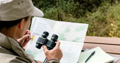 How to plan a crowd-free birding trip — best times, guided vs self-guided options, permits, and transport