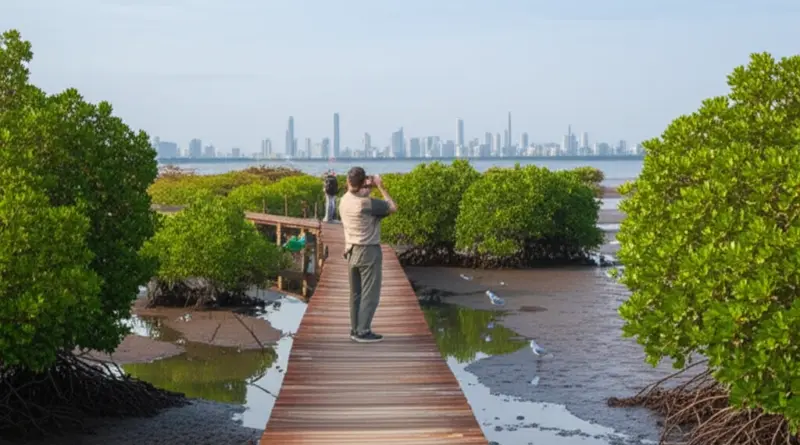 Mangrove and Wetland Tours Near Jakarta: Quiet Birding Escapes from the Crowds