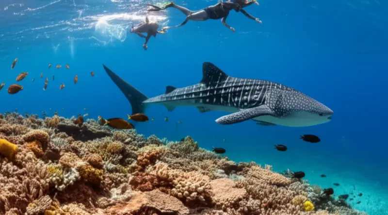Marine Wildlife and Diving Highlights — Whale Sharks, Coral Reefs, Snorkeling & Diving Sites, and Responsible Wildlife Tourism Tips