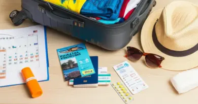 Preparing to Travel to Tropical Regions: Assessing Health Risks, Recommended Vaccinations, and Timing