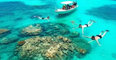 Protecting Coral Reefs in Indonesia: Snorkeling Best Practices, Conservation Fees, and How Tourists Can Help