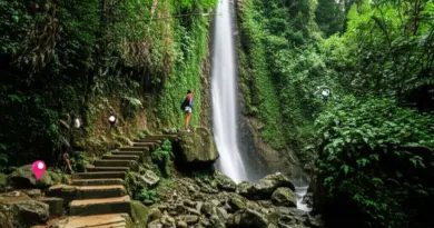 Sendang Gile & Tiu Kelep Detailed Itineraries: Step-by-Step Hikes, Photography Spots, and Time Estimates