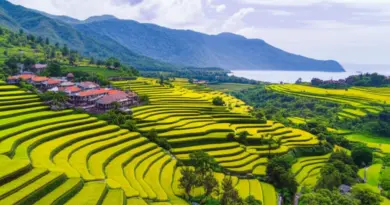 Top Destinations and Itineraries: Bali, Java, Lombok, Komodo, and Sulawesi for Different Trip Lengths