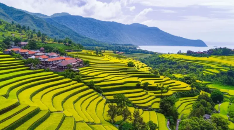 Top Destinations and Itineraries: Bali, Java, Lombok, Komodo, and Sulawesi for Different Trip Lengths