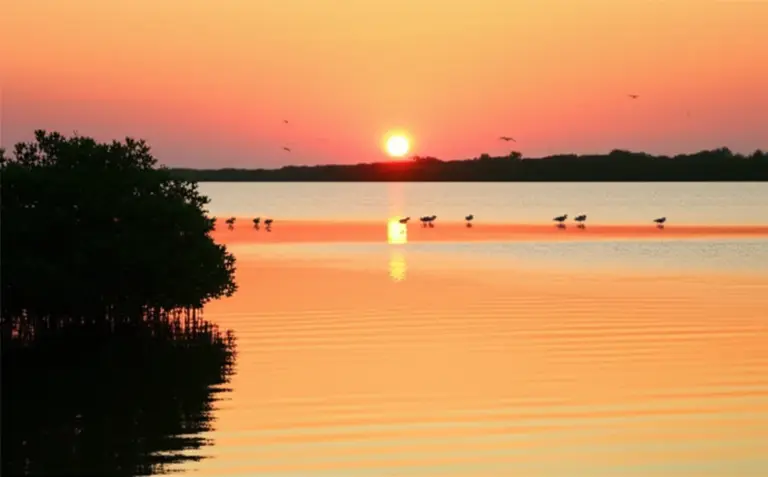 Top spots and routes for peaceful birding around Jakarta — mangrove forests, coastal wetlands, and reserves