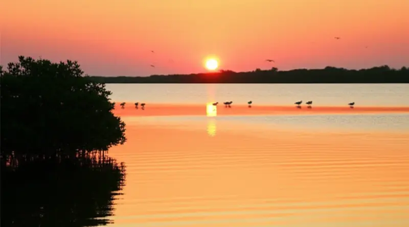 Top spots and routes for peaceful birding around Jakarta — mangrove forests, coastal wetlands, and reserves