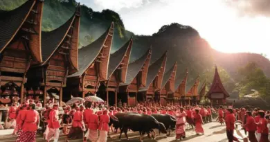 Toraja Funeral Rites Explained: Customs, Calendar, and Visitor Guidelines for Respectful Travel
