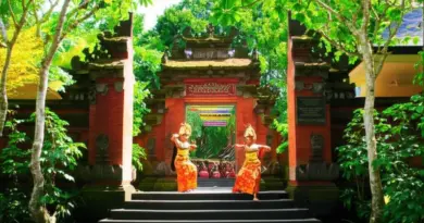 Ubud for Art Lovers: Ultimate Guide to Museums, Dance Performances, and Artist Villages in Bali