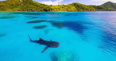 West Papua Wonders: Ultimate 8-Day Itinerary for Biak, Nabire, and Cenderawasih Bay