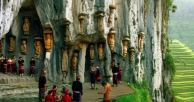 What are the historical and cultural meanings behind Toraja funeral rites and why they matter to visitors