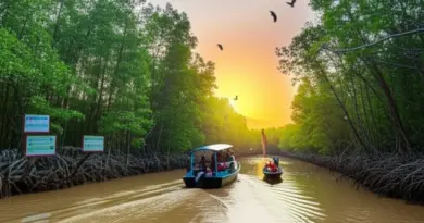 Why choose mangrove and wetland tours near Jakarta — what to expect and who they’re best for