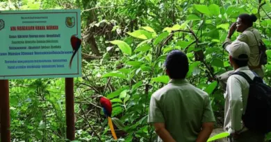 Why responsible encounters matter: conservation, local communities, and legal considerations in Nabire