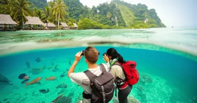 A Guide to Ecotourism in Indonesia: How to Travel Responsibly and Protect Local Ecosystems