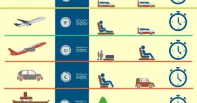 How to Choose the Best Transportation Mode in Indonesia: Comparing Planes, Trains, Ferries, Buses, and Car Rentals for Cost, Time, and Comfort