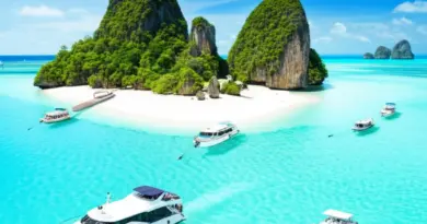 Island Hopping Logistics and Accommodation Guide: Liveaboards vs Homestays, Day Trips, Transportation Between Islands, and Budgeting Tips