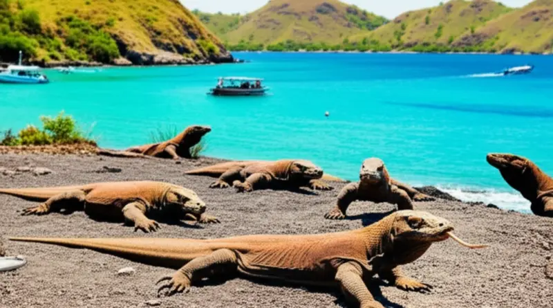 Komodo Island: The Complete Guide to Visiting Indonesia’s Dragon and Marine Parks
